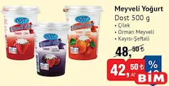 DOST MEYVELİ YOĞURT 500 G fiyat ve kampanya bilgisi